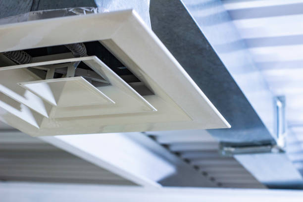 Best Air Duct Cleaning Company Near Me  in Fruita, CO