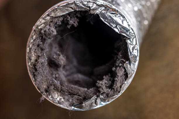 Best Dryer Vent Cleaning Services  in Fruita, CO